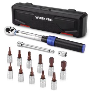 14PCS Torque Wrench Set 1/4-Inch 2-26N.m for Tesla with Quick Release Ratchet Handle