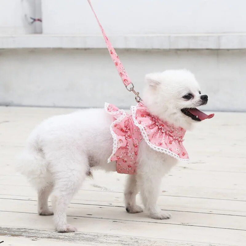 Dog Cat Harness Leash Set