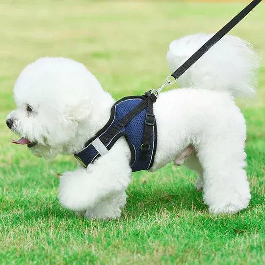 Premier Reflective Harness